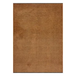 Rust Interior Area Rug - 6 x 9 ft Brown New