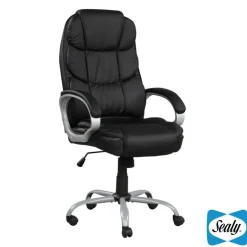 Sealy Office Chair Black Online