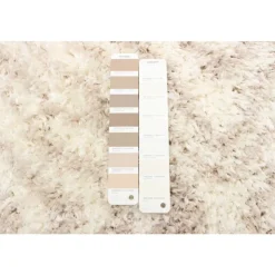 Shag Indoor Rug - 7 x 10 Ivory/Tan Discount