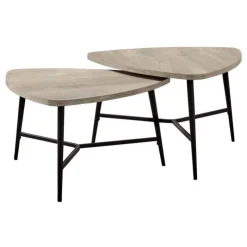 Monarch Table set - 2pcs set / reclaimed wood / black metal - Taupe New