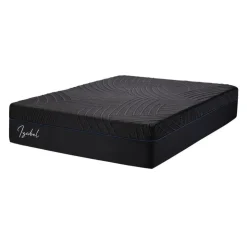 Dreamstar Twin XL Medium-Firm Memory Foam Mattress-in-a-Box - 39" x 80" BLACK Best